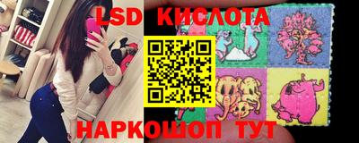 PSILOCYBIN Конаково