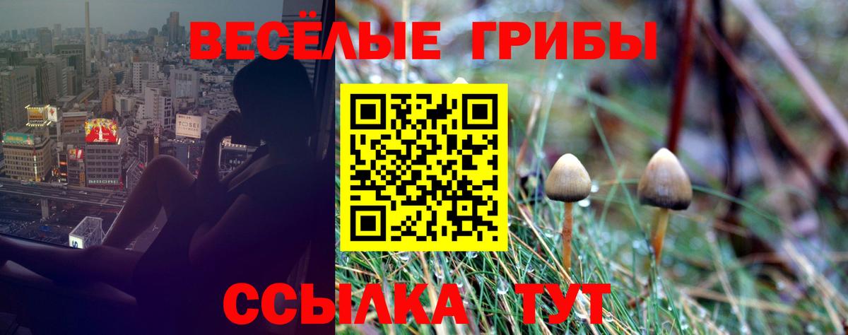 Красноярск  Псилоцибиновые грибы мухоморы  Галлюциногенные грибы Psilocybine cubensis  Вход с VPN 