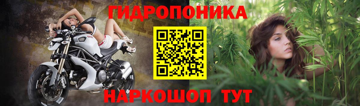 Канабис White Widow  Вход с VPN  Бошки Шишки AK-47  Красноярск 